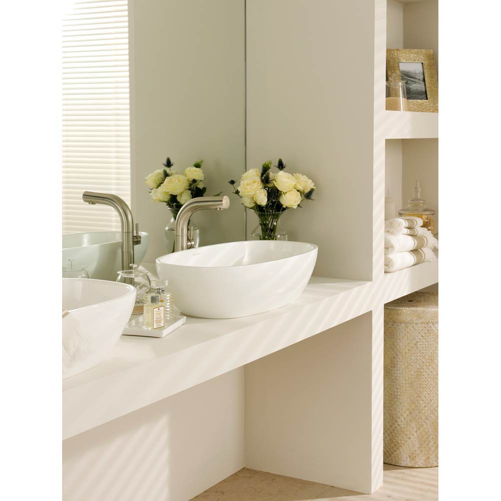 Victoria + Albert Barcelona 25'' x 14'' Oval Vessel Lavatory Sink